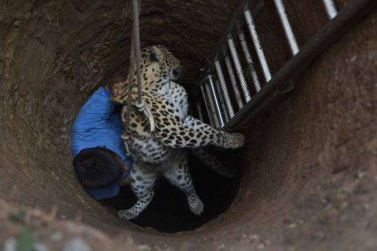 621037c7397dbc536f75f64f9cba55b0_1513230819_9774.jpg 621037c7397dbc536f75f64f9cba55b0_1513230819_9774.jpg