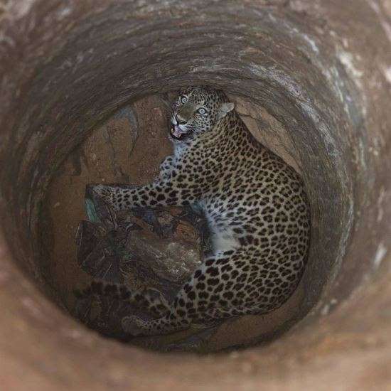 621037c7397dbc536f75f64f9cba55b0_1513230820_013.jpg 621037c7397dbc536f75f64f9cba55b0_1513230820_013.jpg